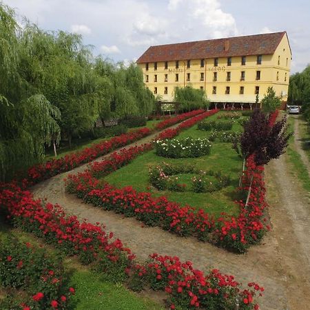 Hanul Moara Cu Noroc Ineu  Exterior foto